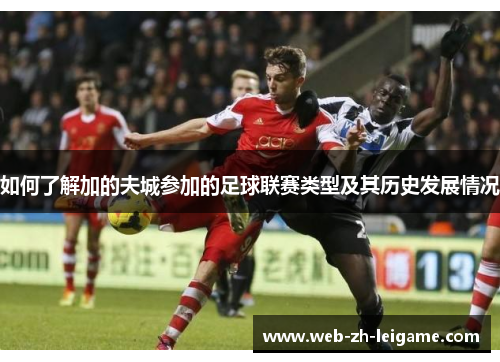 如何了解加的夫城参加的足球联赛类型及其历史发展情况