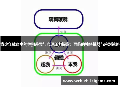 青少年体育中的性别差异与心理压力探索:面临的独特挑战与应对策略 青少年体育中的性别差异与心理压力探索:面临的独特挑战与应对策略